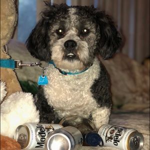 Meet your Posher, Alba